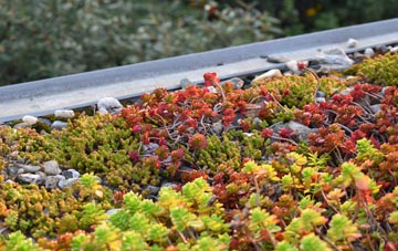 the cost of Thorington Street green roof installation